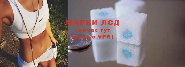 прущие грибы Белокуриха