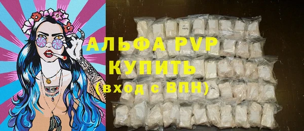 прущие грибы Белокуриха