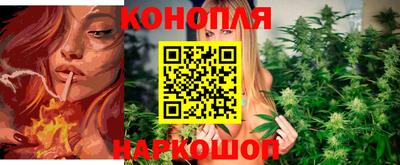 крисы Донецк