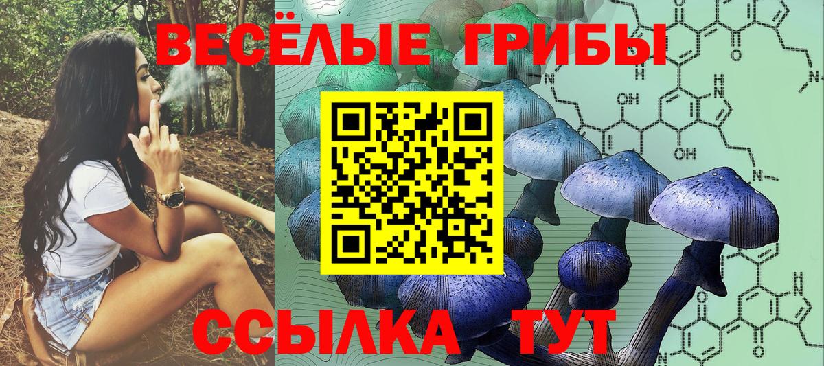 Кунгур  Псилоцибиновые грибы ЛСД  Вход с VPN  Псилоцибиновые грибы ЛСД 