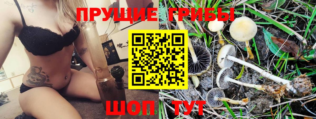 Псилоцибиновые грибы мицелий Кунгур